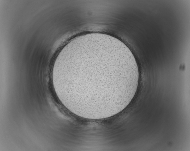 X0000112980682200910081110