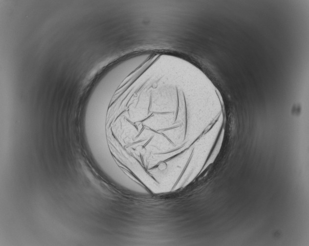 X0000112980684200910081110