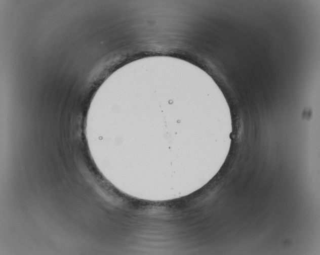 X0000112980685200910081110