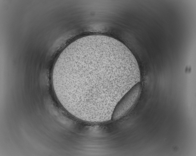 X0000112980688200910081110