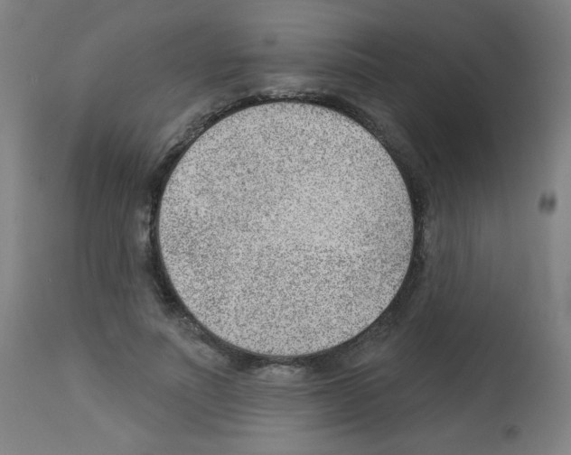 X0000112980691200910081110