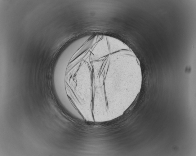 X0000112980692200910081110