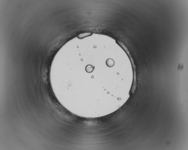 X0000112980693200910081110