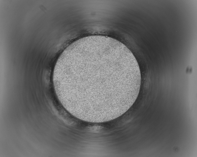 X0000112980695200910081110
