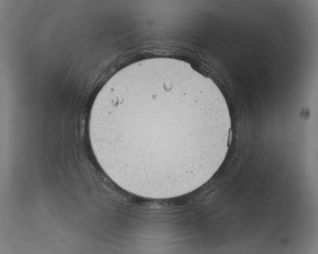 X0000112980697200910081110