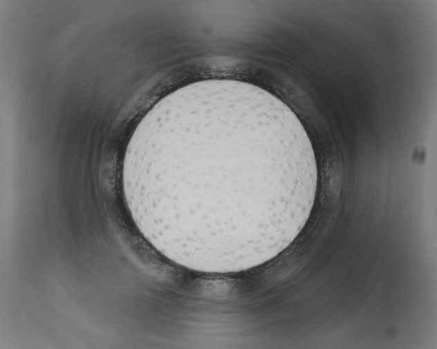 X0000112980698200910081110
