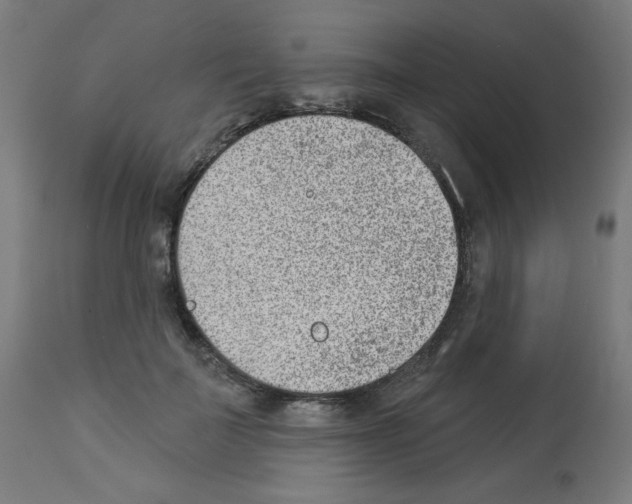 X0000112980699200910081110