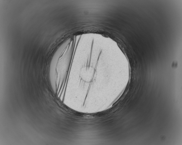 X0000112980701200910081110