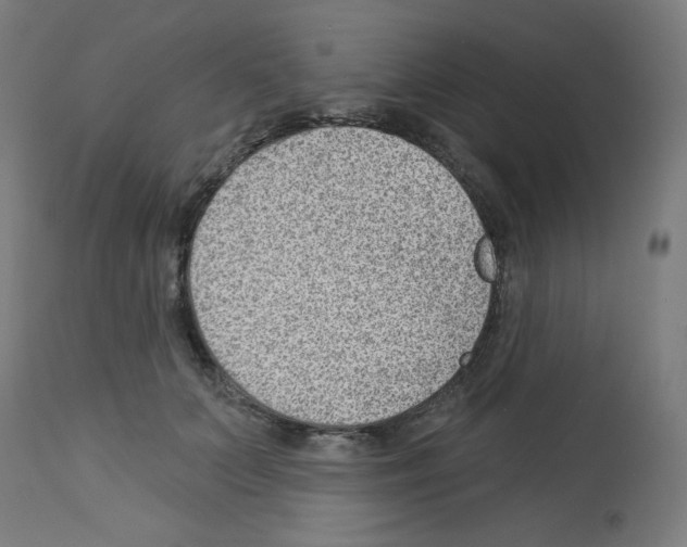 X0000112980703200910081110