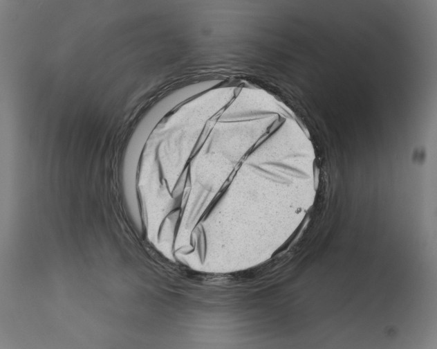 X0000112980705200910081110
