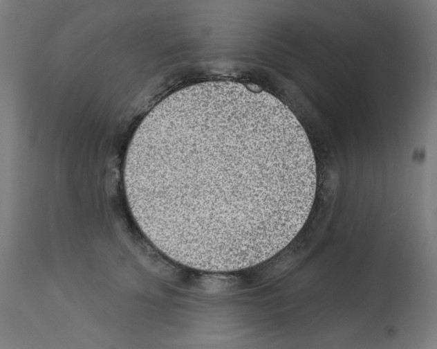 X0000112980707200910081110