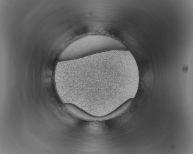 X0000112980708200910081110
