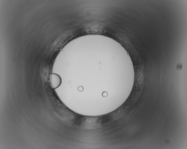 X0000112980709200910081110