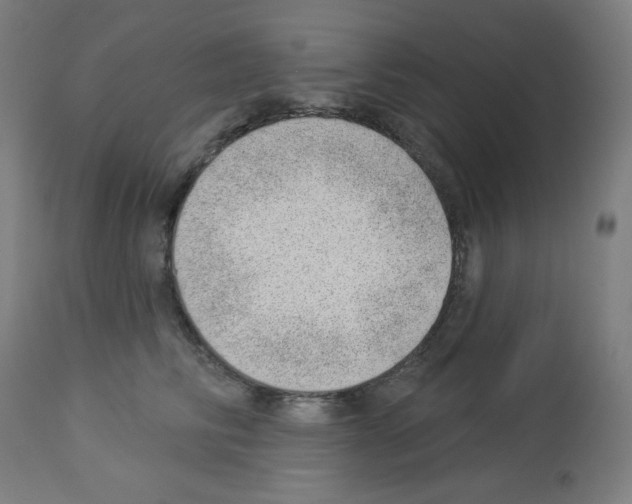 X0000112980710200910081110