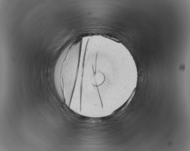 X0000112980712200910081110