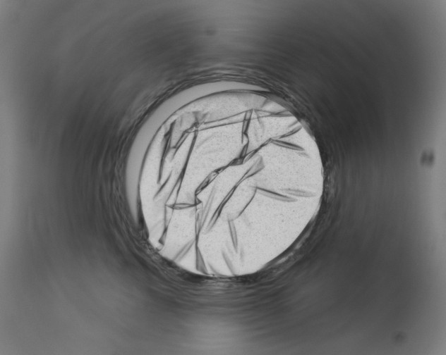 X0000112980713200910081110