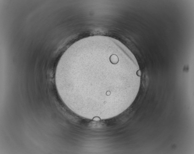 X0000112980714200910081110