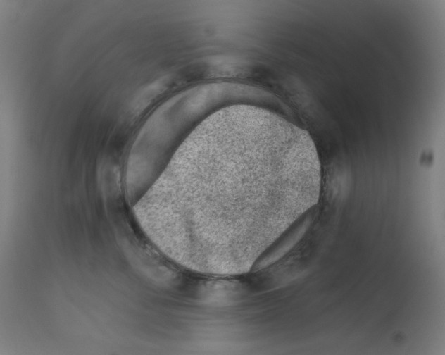 X0000112980716200910081110