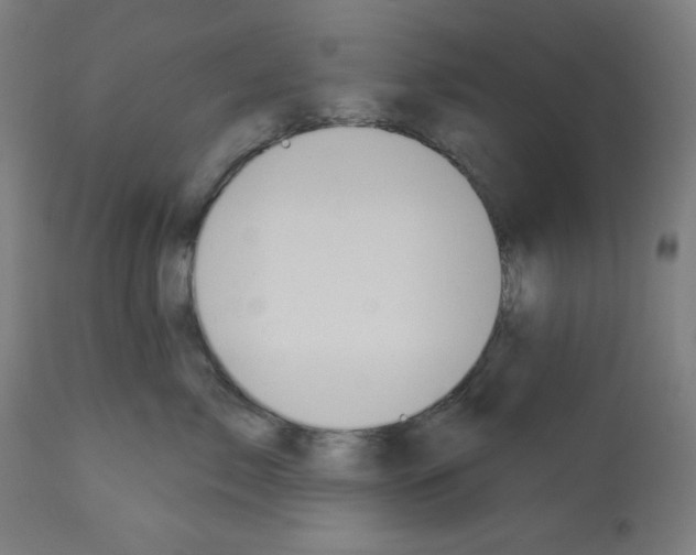 X0000112980717200910081110