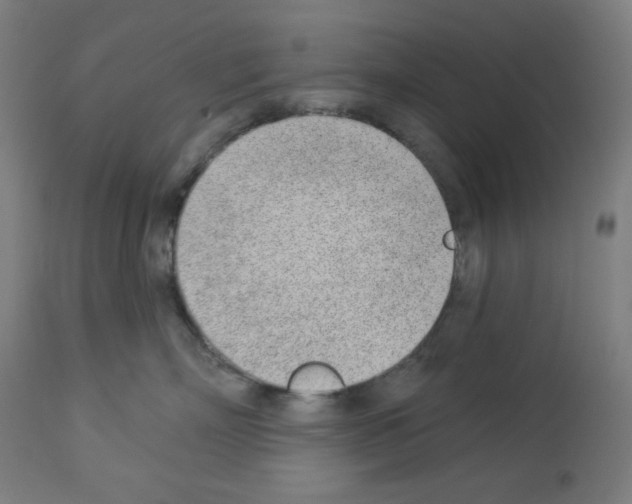 X0000112980718200910081110