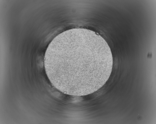 X0000112980719200910081110