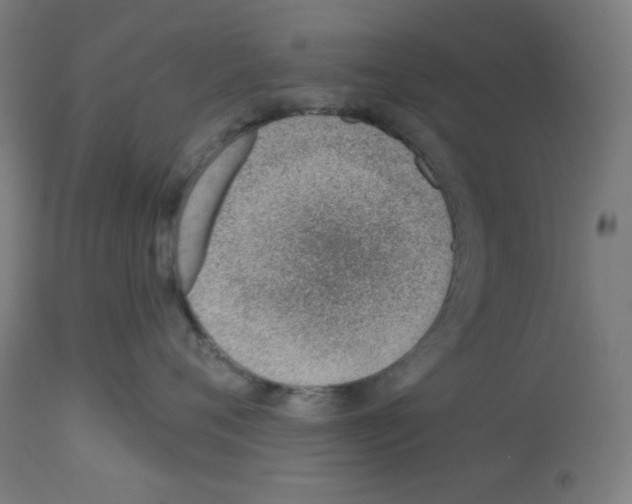 X0000112980720200910081110