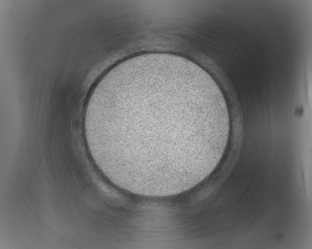 X0000112980721200910081109