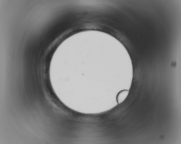 X0000112980722200910081109