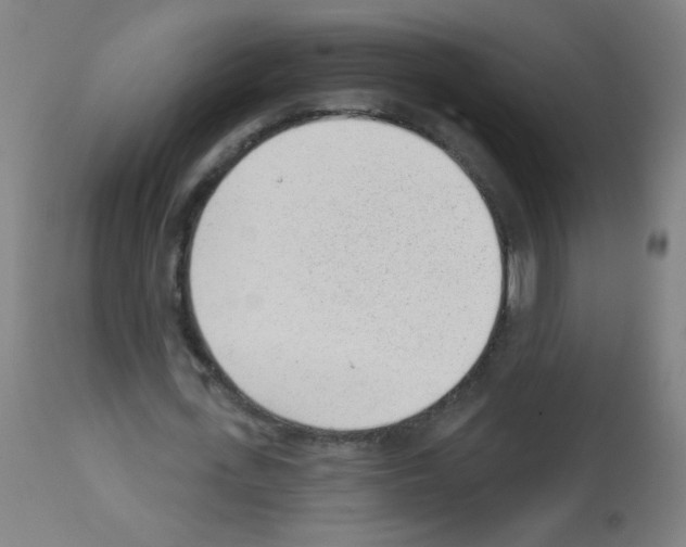 X0000112980723200910081109