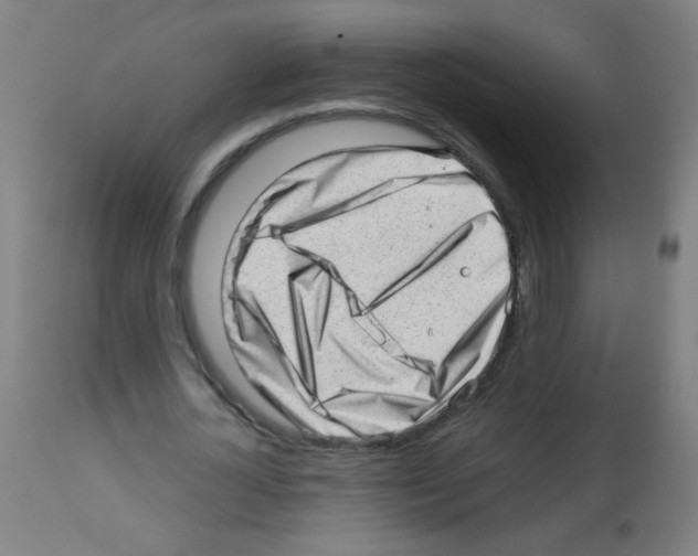 X0000112980724200910081109
