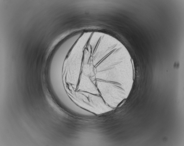 X0000112980726200910081109