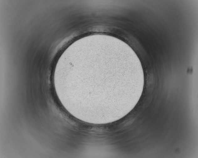X0000112980727200910081109