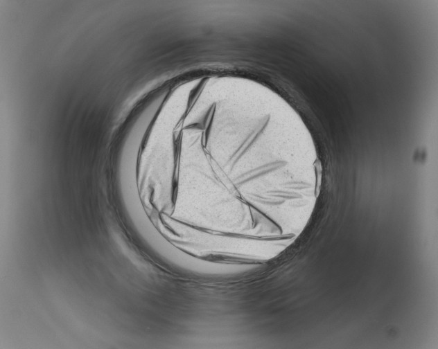 X0000112980728200910081109