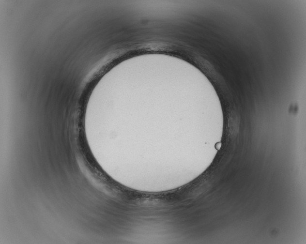 X0000112980730200910081109