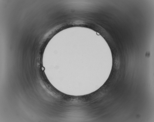 X0000112980732200910081109