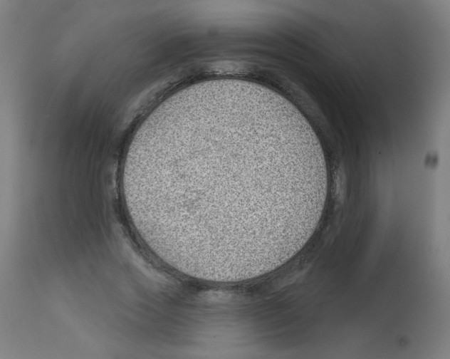 X0000112980733200910081109