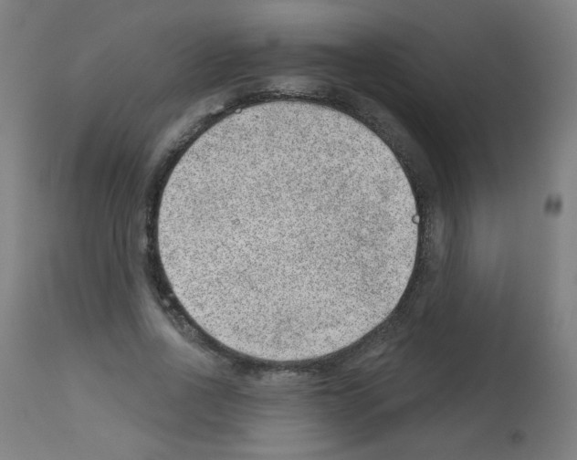 X0000112980734200910081109