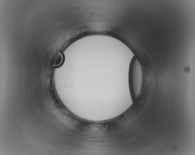 X0000112980736200910081109