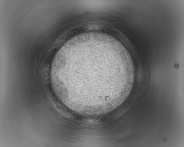 X0000112980737200910081109