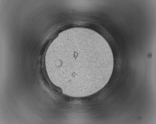 X0000112980738200910081109