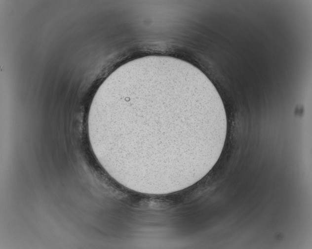 X0000112980739200910081109