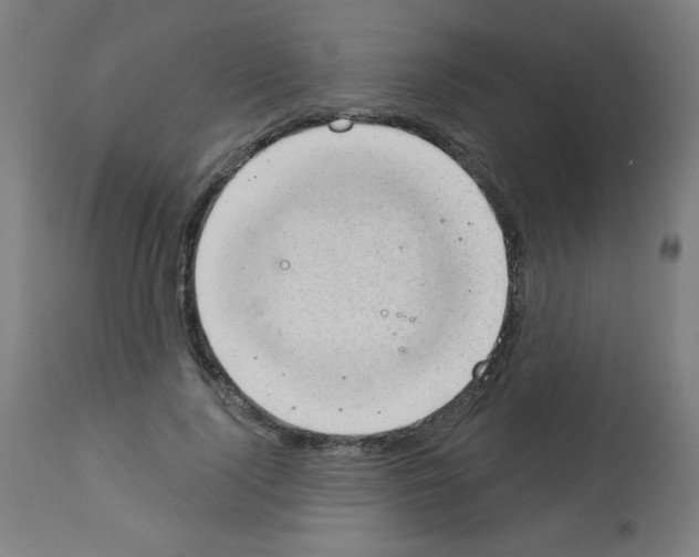 X0000112980740200910081109