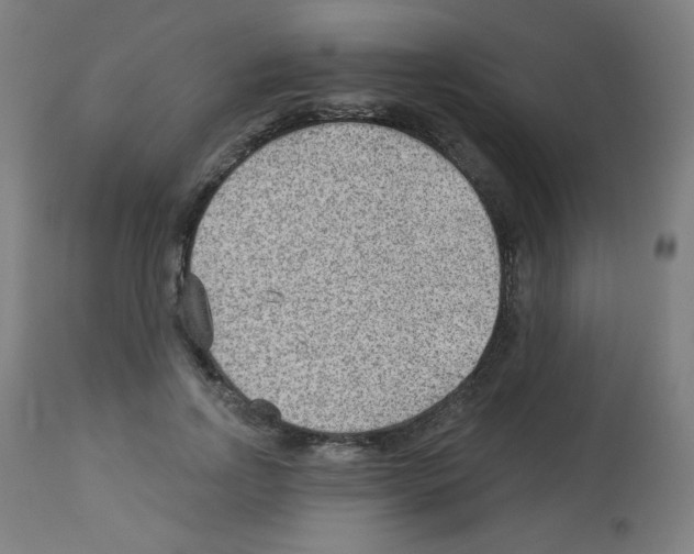 X0000112980742200910081109