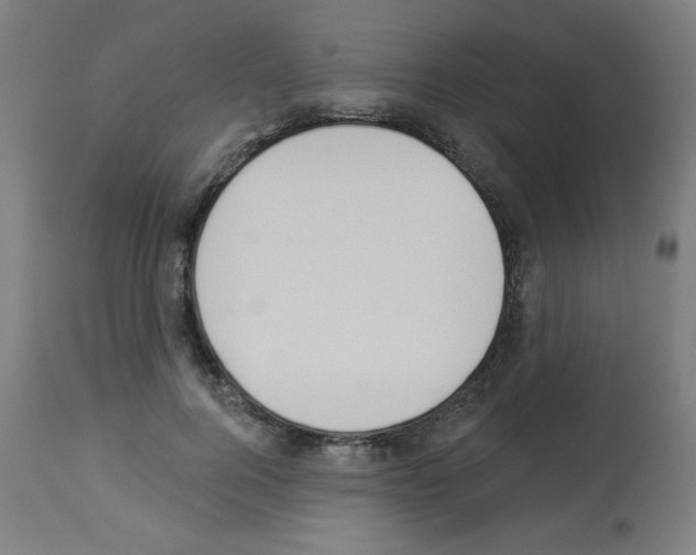 X0000112980744200910081109