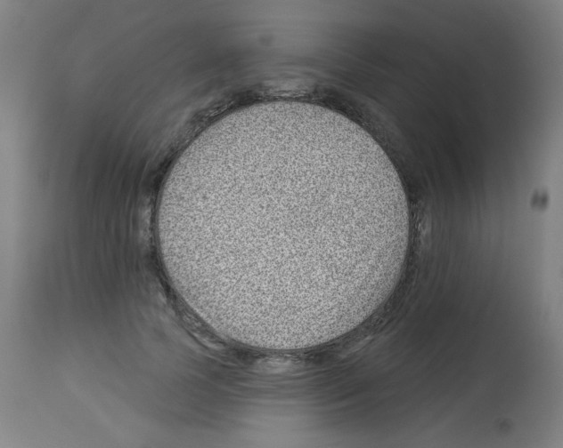 X0000112980745200910081109