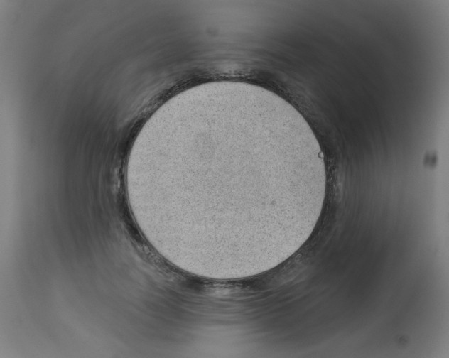 X0000112980746200910081109