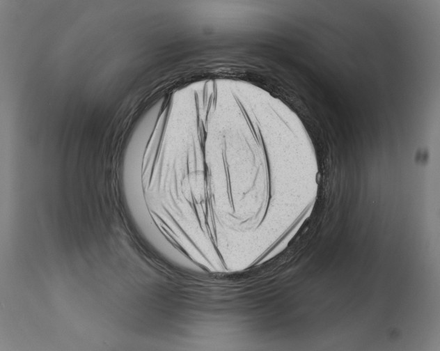 X0000112980748200910081109
