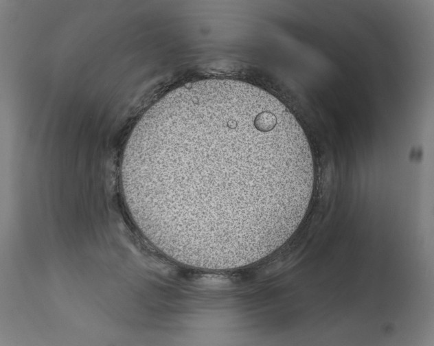 X0000112980749200910081109