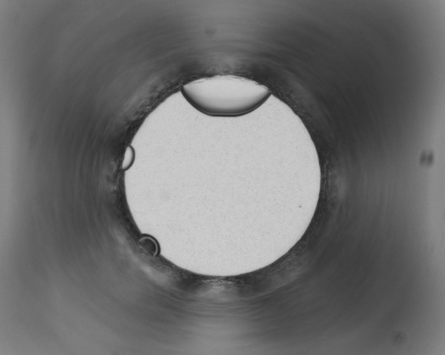 X0000112980750200910081109