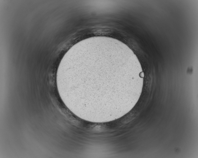 X0000112980755200910081109